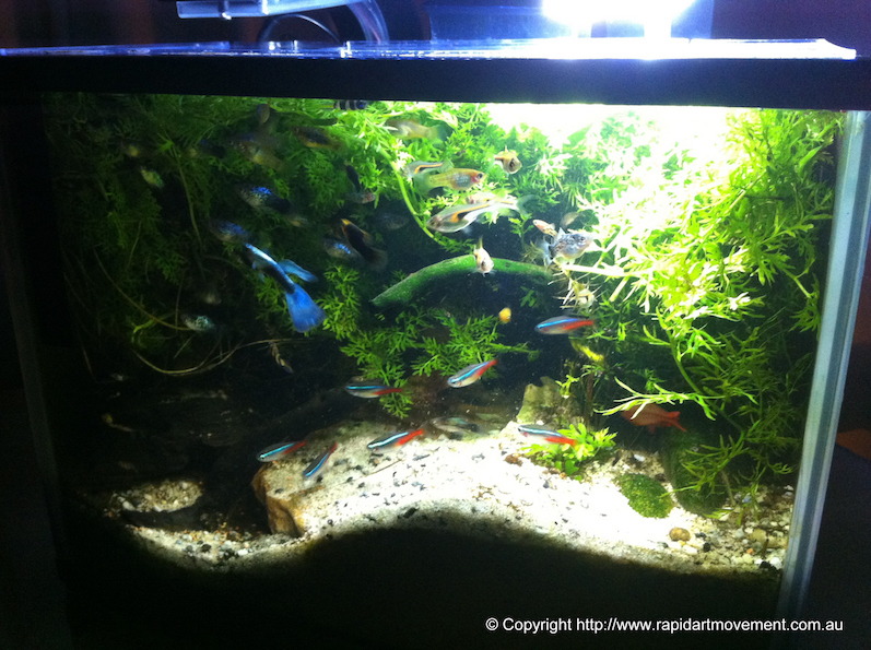 37